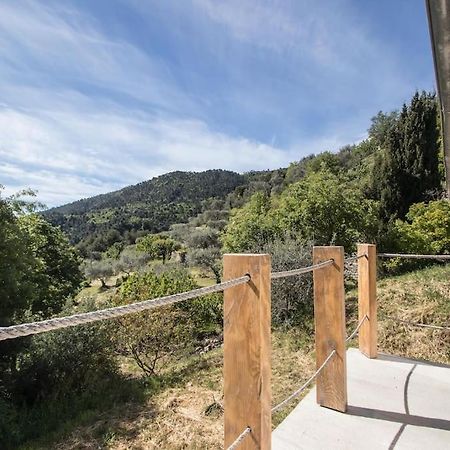 Chateauneuf-Villevieille Bas De Villa Au Milieu Des Oliviers. מראה חיצוני תמונה